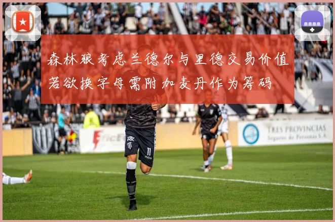 森林狼考虑兰德尔与里德交易价值若欲换字母需附加麦丹作为筹码