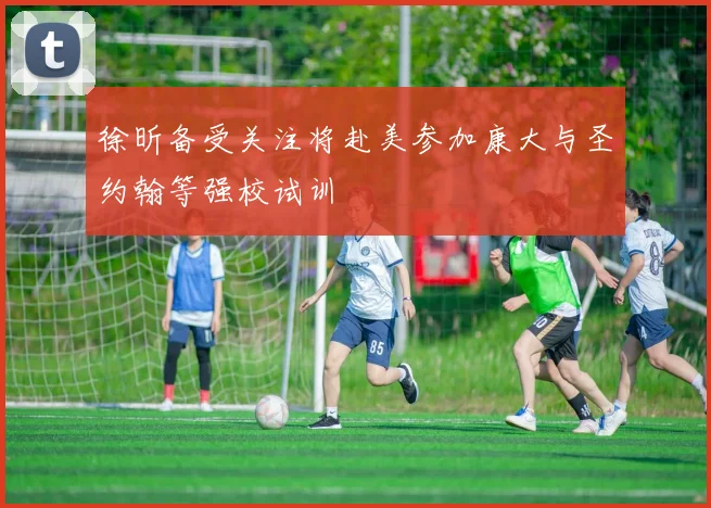 徐昕备受关注将赴美参加康大与圣约翰等强校试训